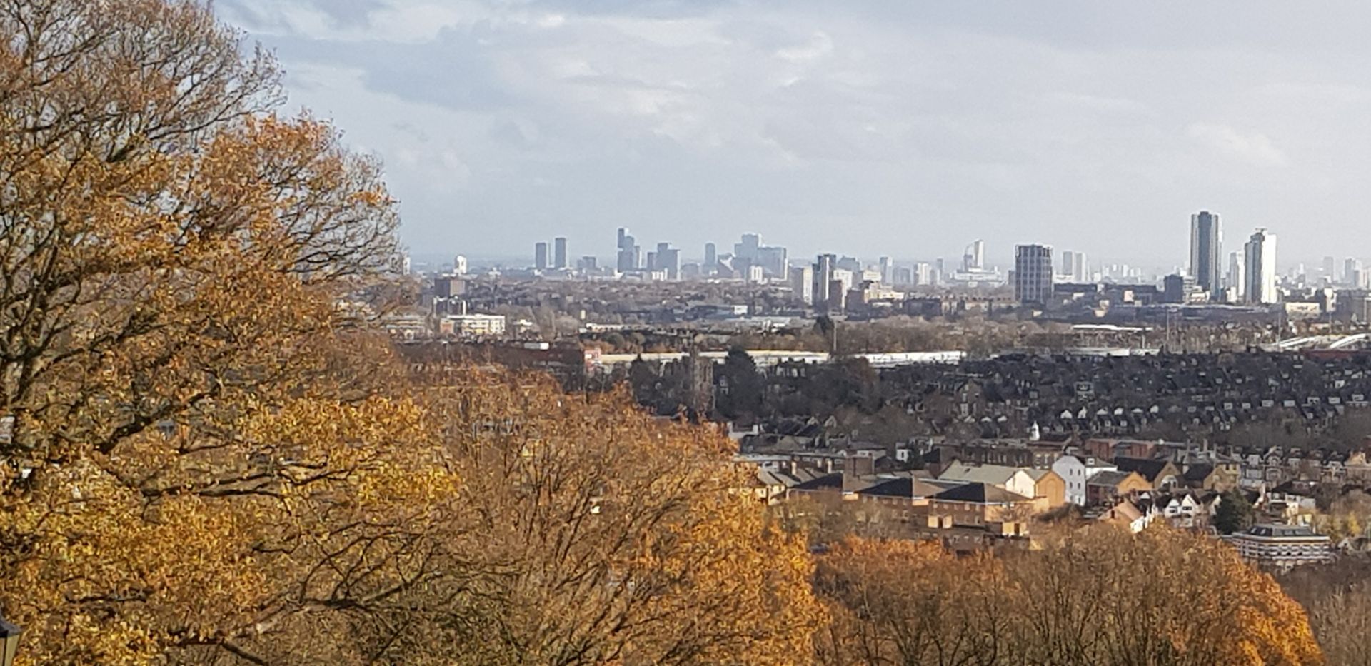 View from Alexandra Palace
